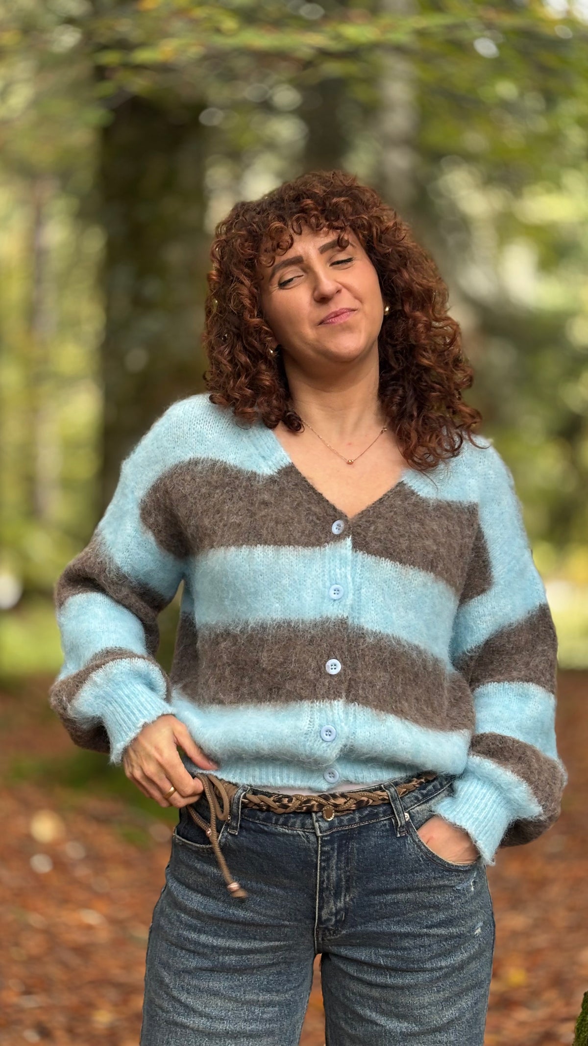 Cardigan Alpi