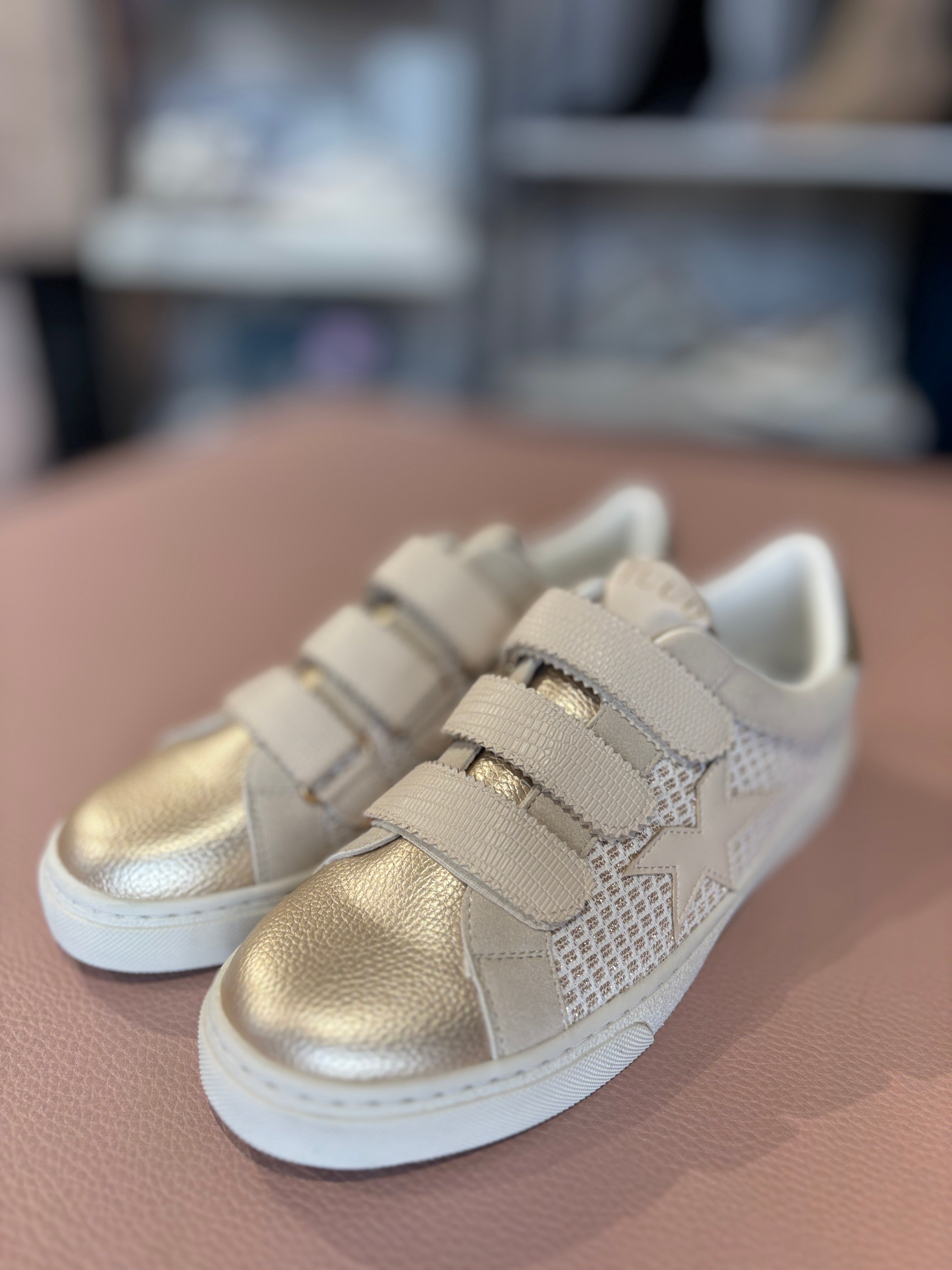 Sneakers Jude Star