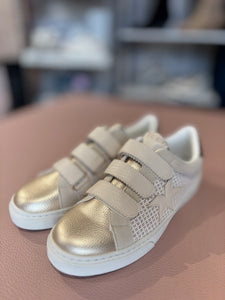 Sneakers Jude Star