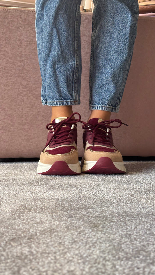 Sneaker Mountain
