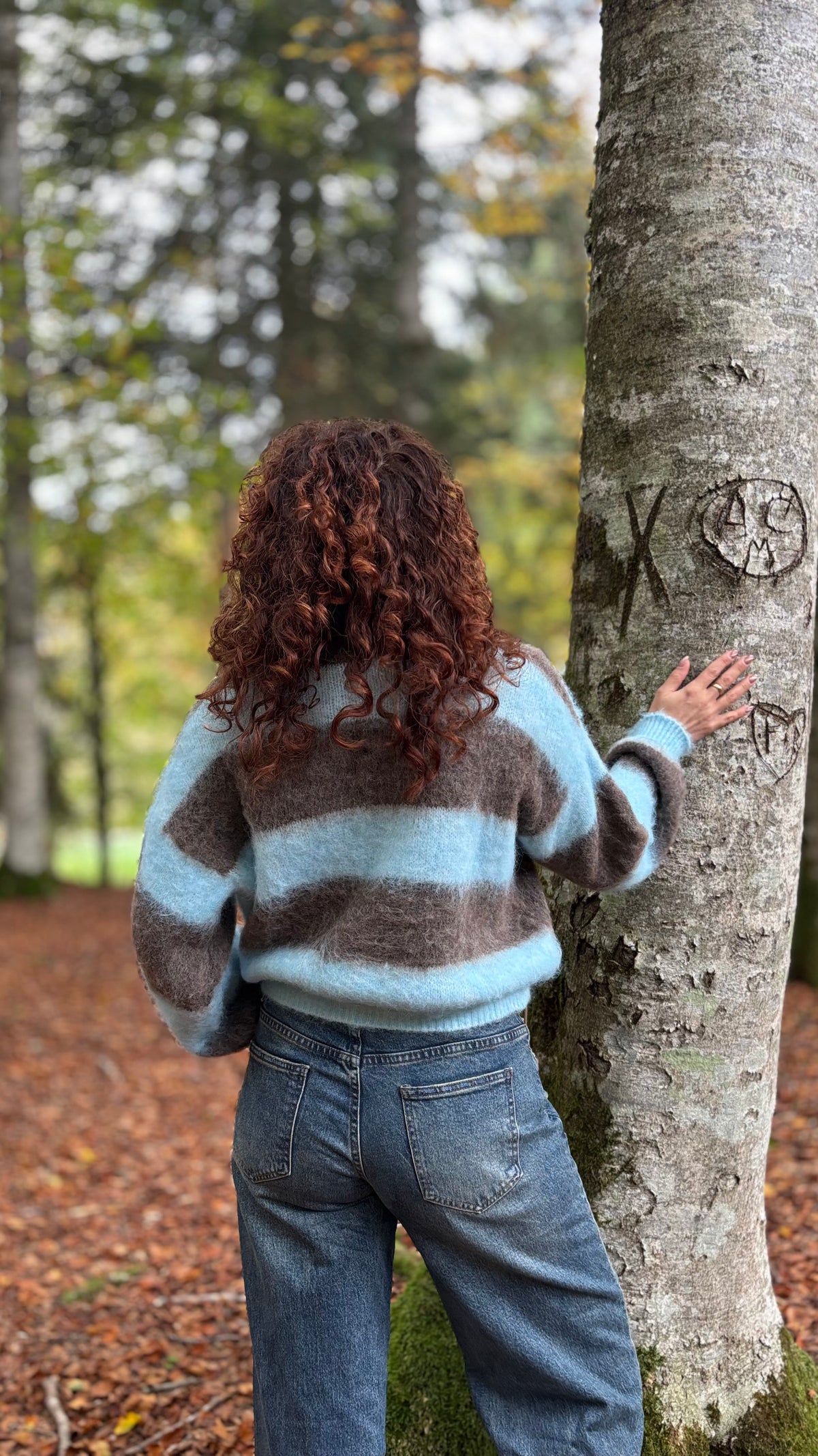 Cardigan Alpi
