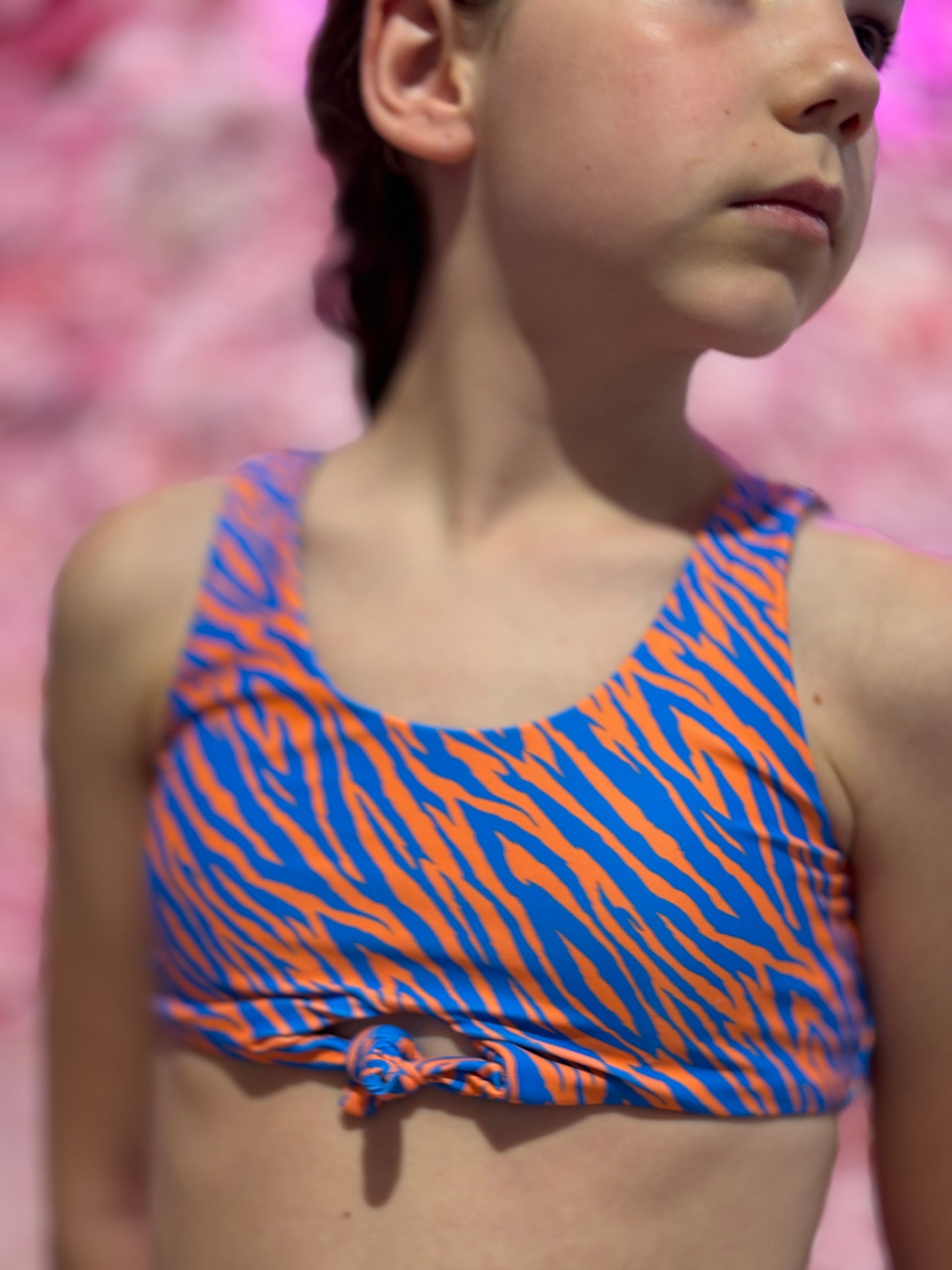 Costume Zebra