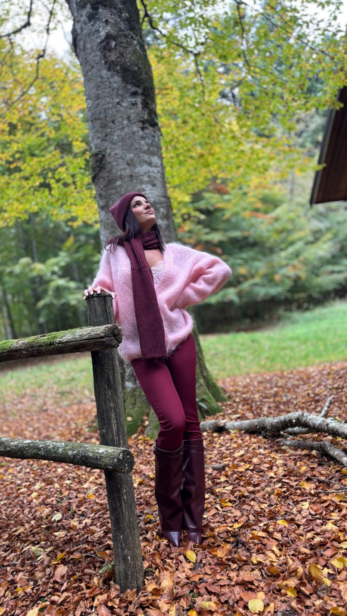 Cardigan Mohair