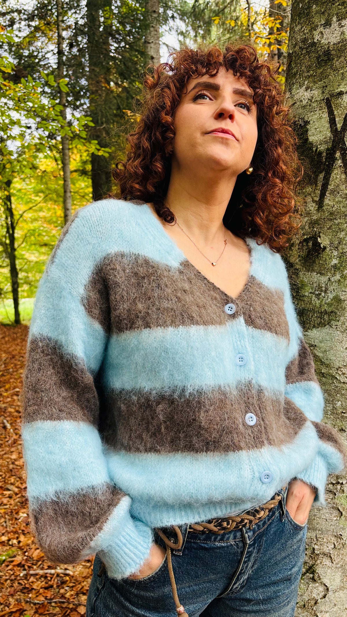Cardigan Alpi