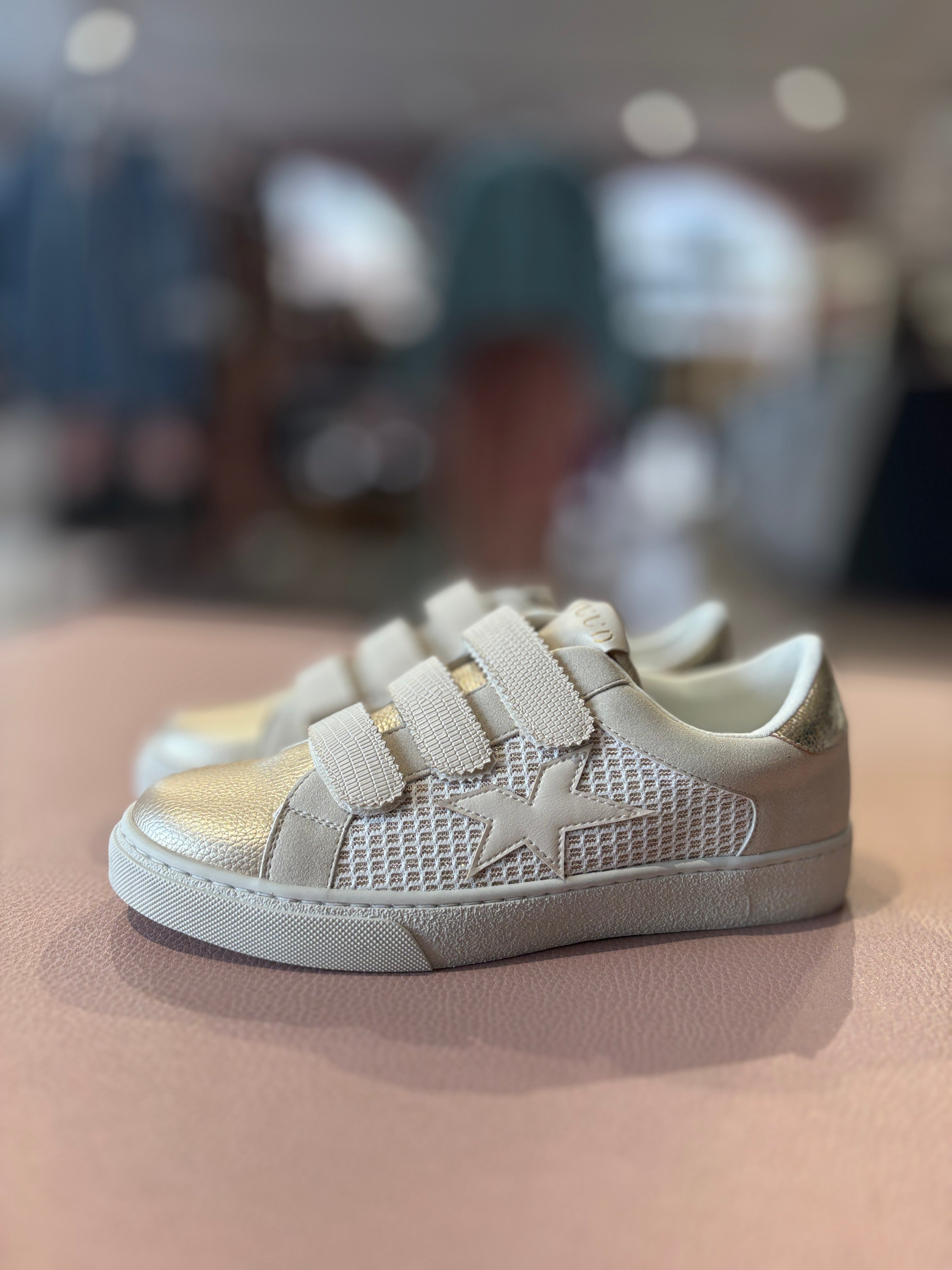 Sneakers Jude Star