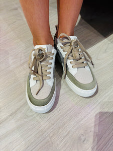 Sneakers Jude Star